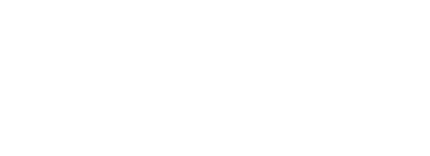 LI.FI logo